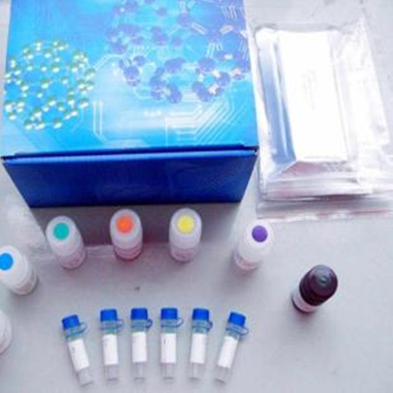 体液糖胺多糖（GAG）总含量二甲基亚甲基蓝（DMMB）比色法定量检测 试剂盒