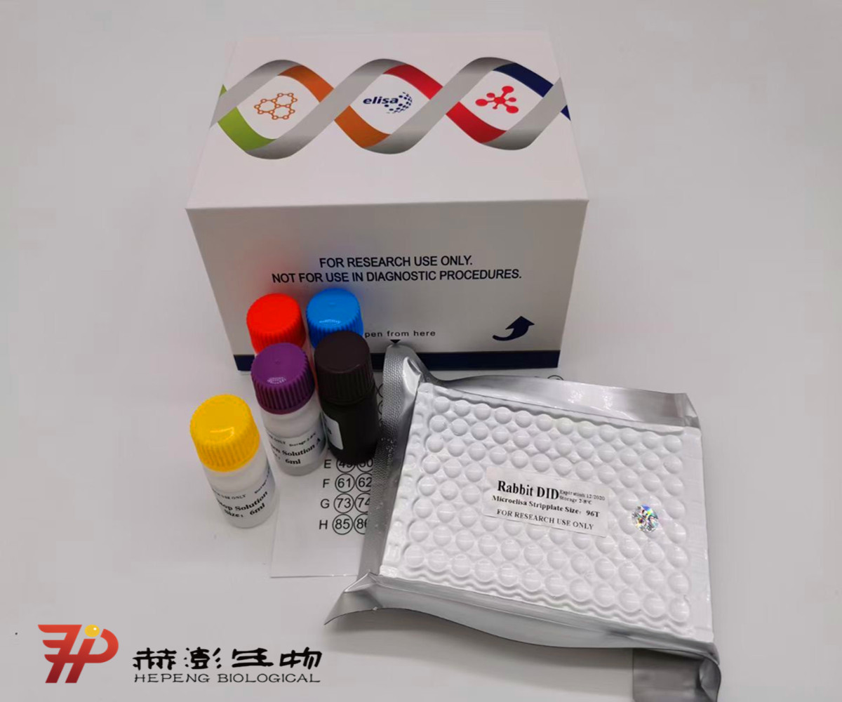 人（Human）趋化因子CXC配体13（CXCL13）ELISA检测试剂盒