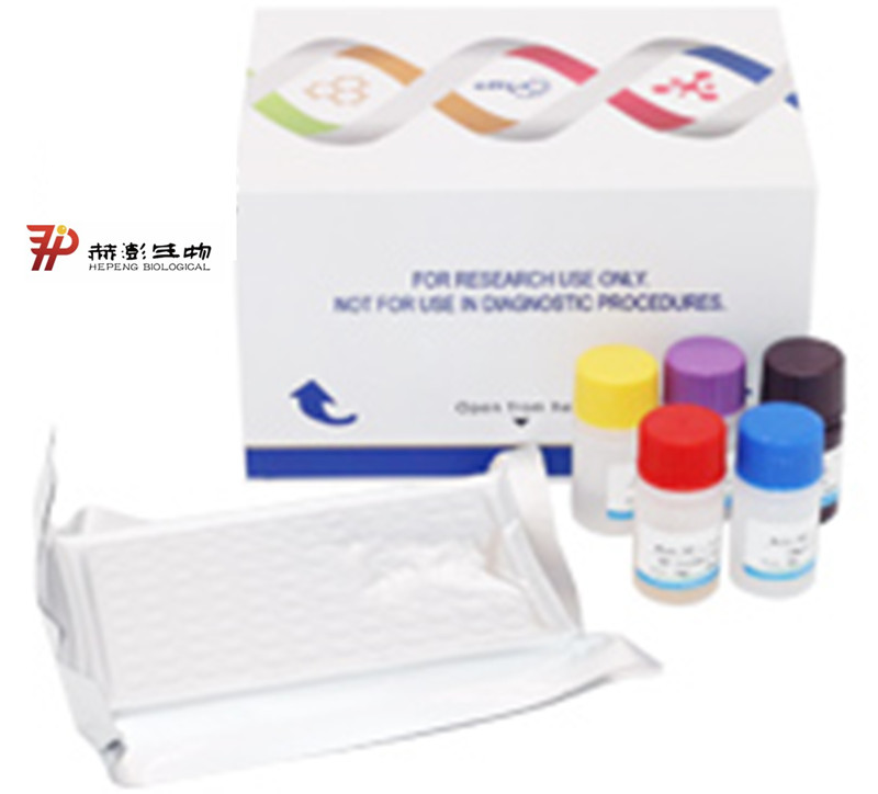 小鼠白介素6（IL-6）检测试剂盒