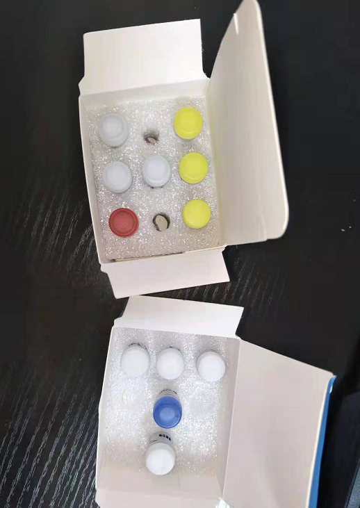 Lipoamide Dehydrogenase (LD)