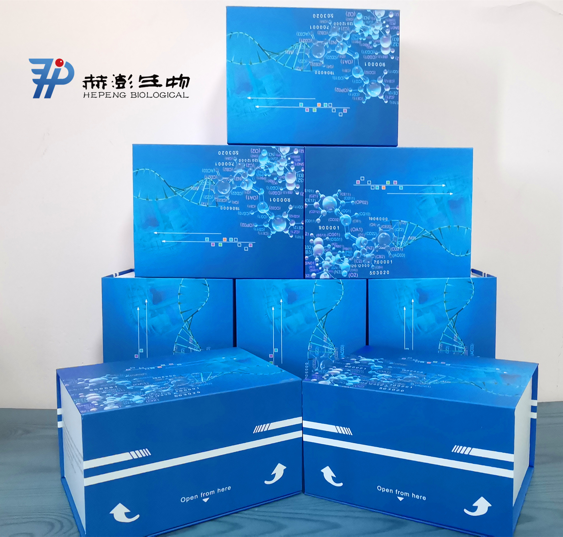 叶绿体提取试剂盒（非酶法）